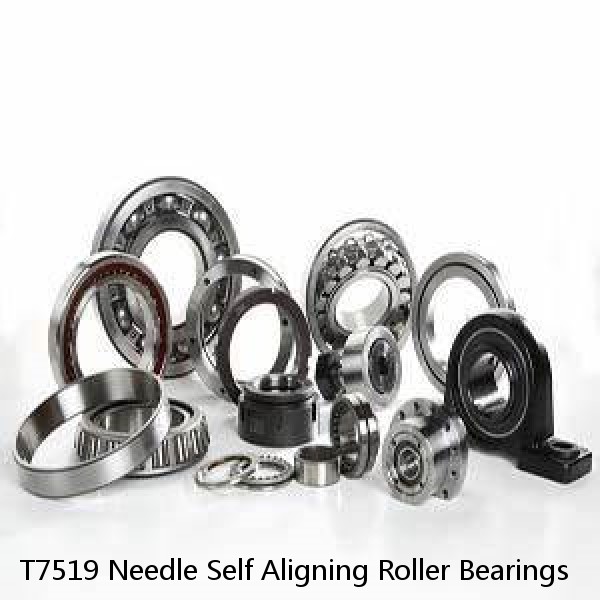 T7519 Needle Self Aligning Roller Bearings