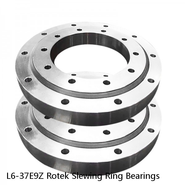 L6-37E9Z Rotek Slewing Ring Bearings #1 small image