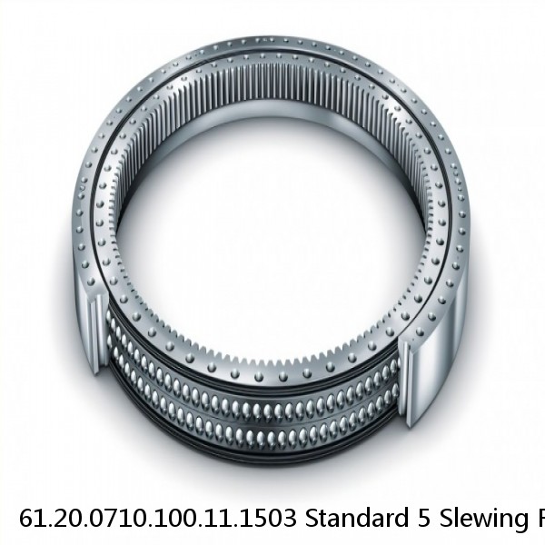 61.20.0710.100.11.1503 Standard 5 Slewing Ring Bearings #1 small image