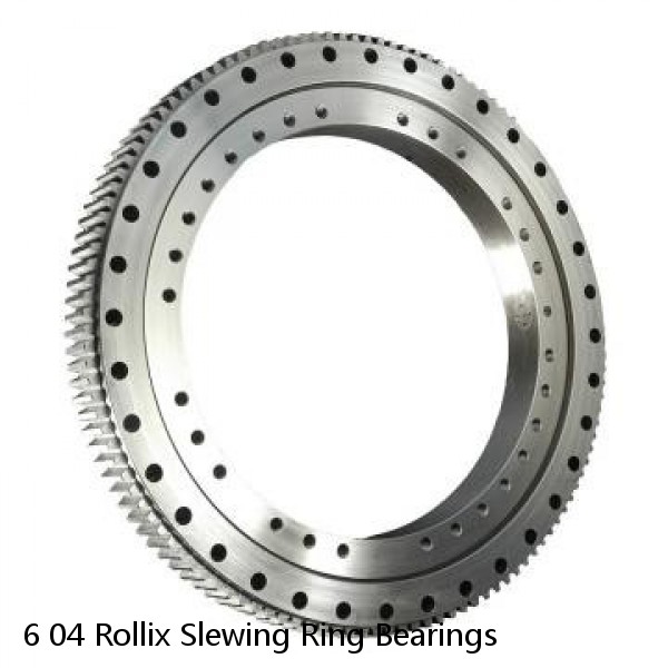 6 04 Rollix Slewing Ring Bearings #1 small image