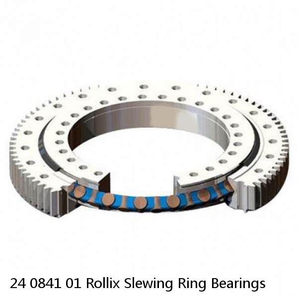 24 0841 01 Rollix Slewing Ring Bearings #1 image