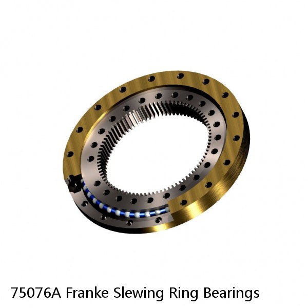 75076A Franke Slewing Ring Bearings #1 image