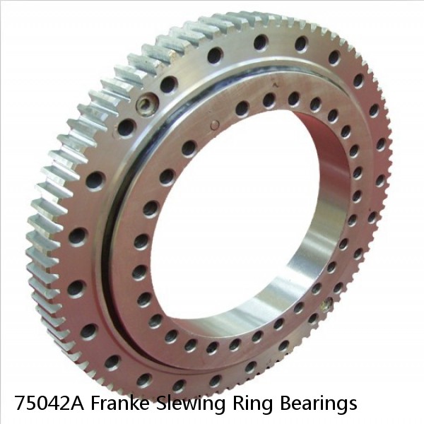 75042A Franke Slewing Ring Bearings #1 image