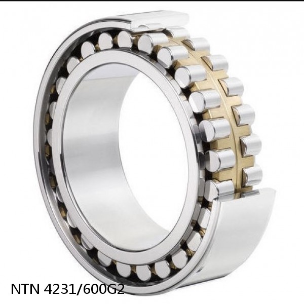 4231/600G2 NTN Cylindrical Roller Bearing #1 image