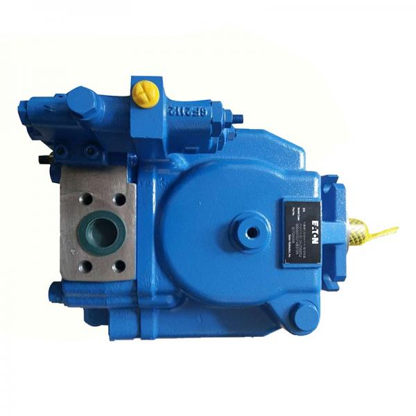 Vickers PV046R1K1KJNMRZ+PV046R1L1T1NMR Piston Pump PV Series #1 image
